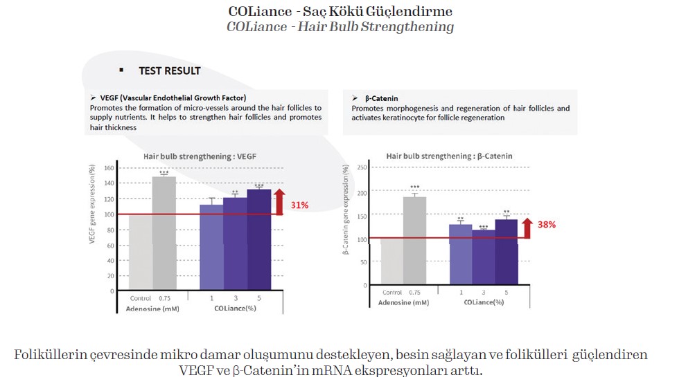 saç kökü güçlendirme