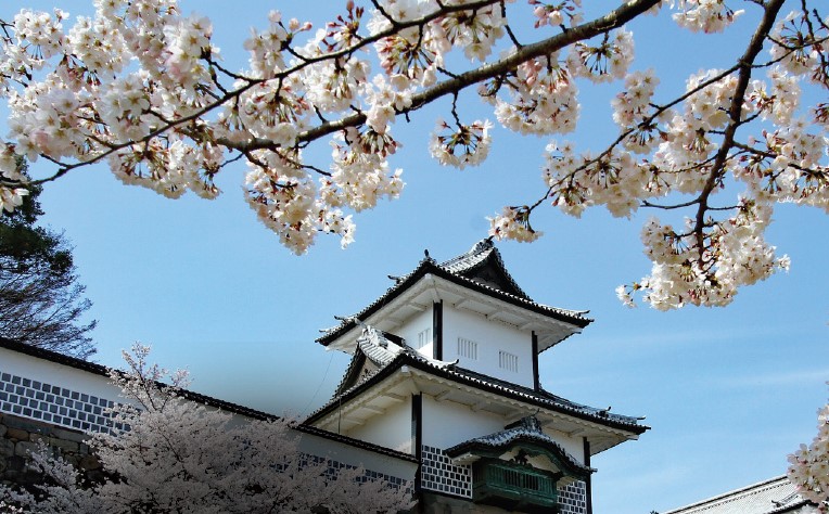 Japan in the Sakura Season