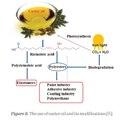 The use of castor oil and its modifications