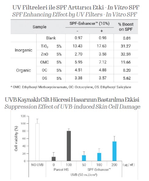 UV Filtreleri ile SPF Arttırıcı Etki - In Vitro SPF 