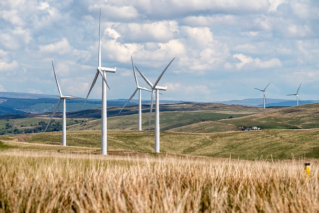 Sürdürülebilir Gelecek için Yenilenebilir Enerji Fırsatları