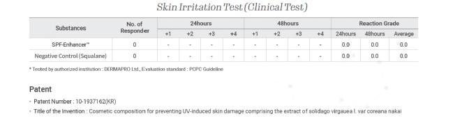 Skin Irritation Test (Clinical Test)