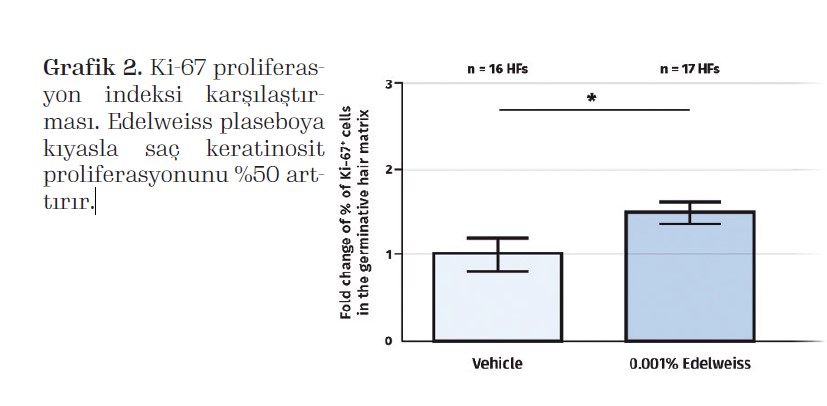 Ki-67 proliferasyonindeksi karşılaştırması.
Edelweiss plaseboya
kıyasla saç keratinosit
proliferasyonunu %50 arttırır.