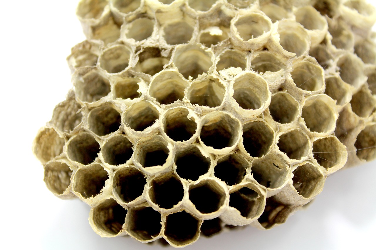 BEE’O Propolis’in Ar-Ge ve Üretim Tesisi’nde Önemli Gelişme