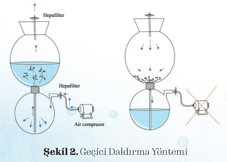 Bitki Biyoaktif Bileşenlerinin Farklı Teknikler ile Üretimi