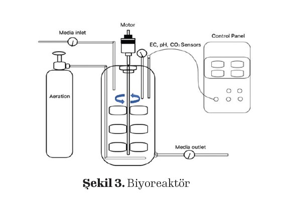 Bitki Biyoaktif Bileşenlerinin Farklı Teknikler ile Üretimi