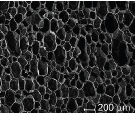 Cell Structure of the Rigid Polyurethane Foam