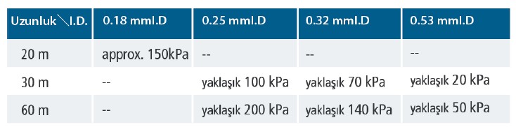 Kapiler Kolonların Kullanımı: GC Kolonunun Takılması